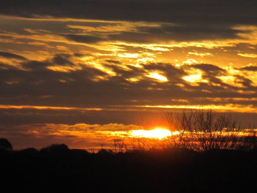 12191546_10208162832610329_4145186638421435563_n