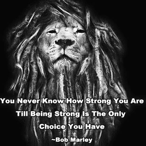 10492263_1032899083389623_2915756134304716707_n