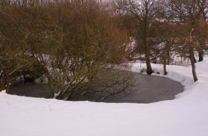 63540_1773793386414_6125344_n