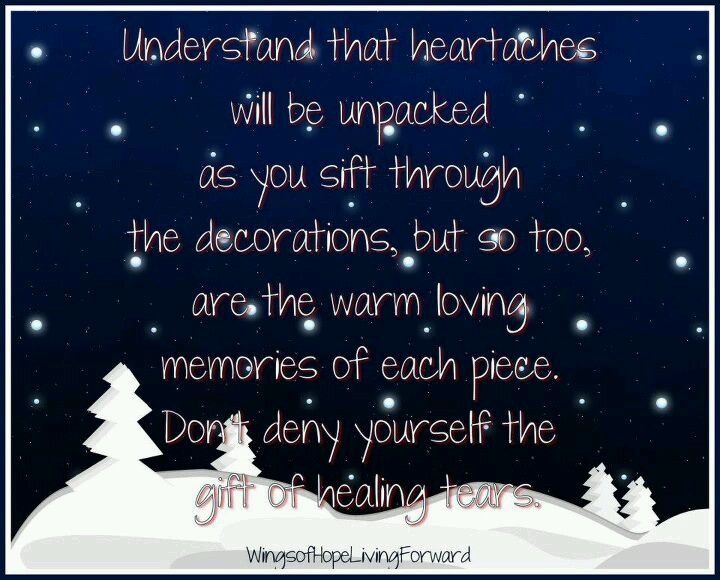 e7dc2cf0bcf958aa9d609c3fda59f118